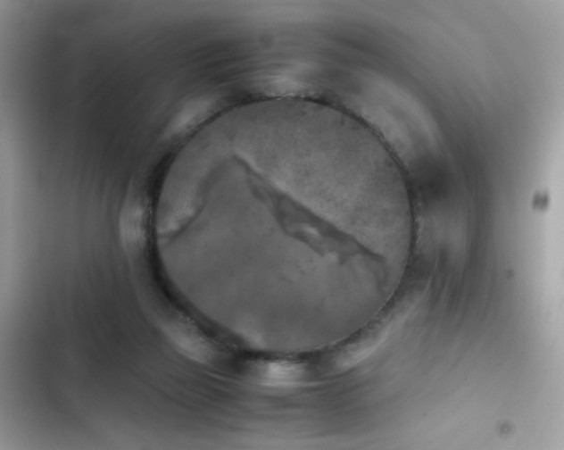X0000103960165200809191519