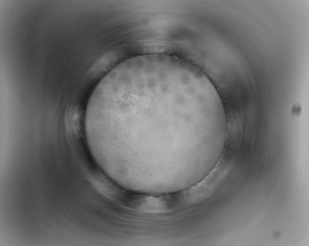 X0000103960166200809191519