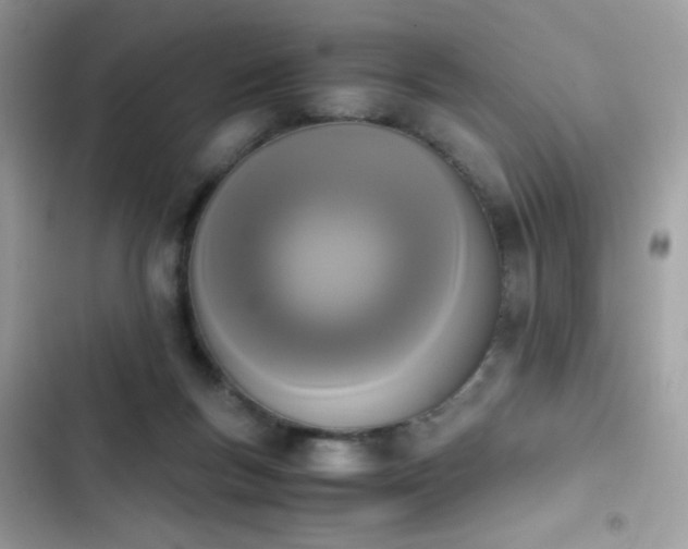X0000103960167200809191519