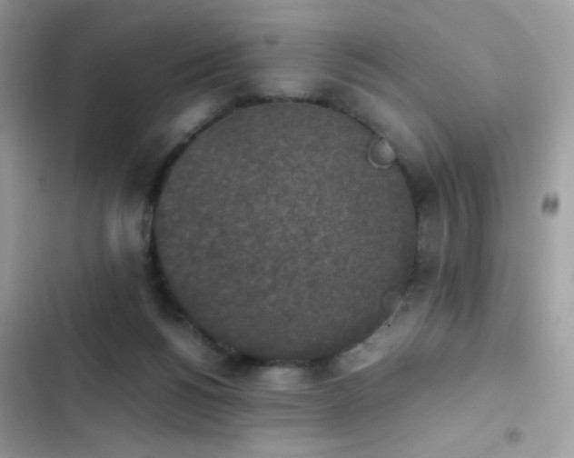 X0000103960168200809191519