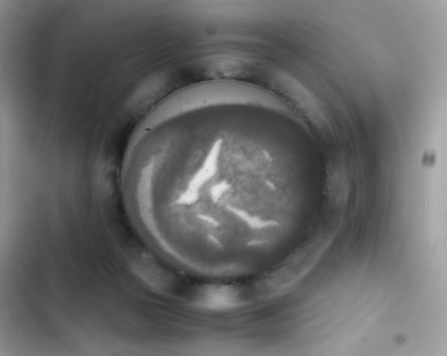 X0000103960169200809191519