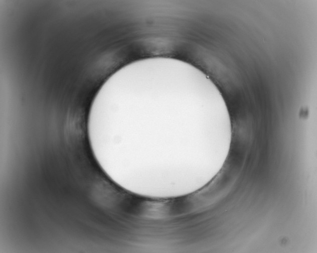 X0000103960170200809191519
