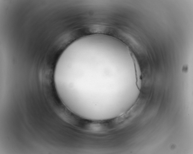 X0000103960171200809191519