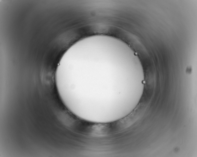 X0000103960172200809191519