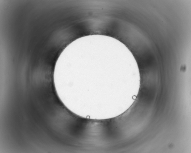 X0000103960174200809191519