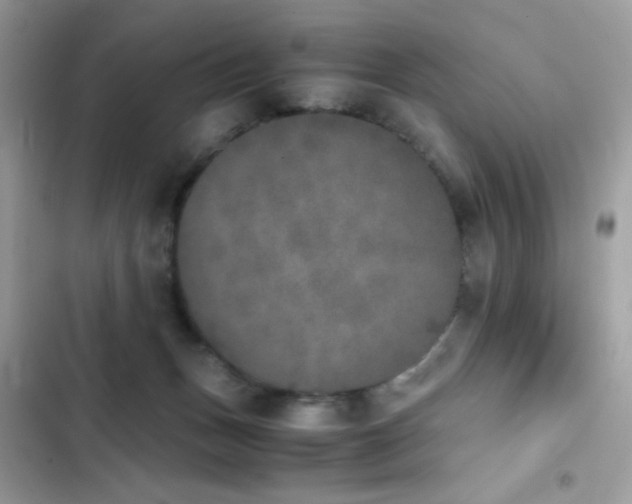 X0000103960175200809191519