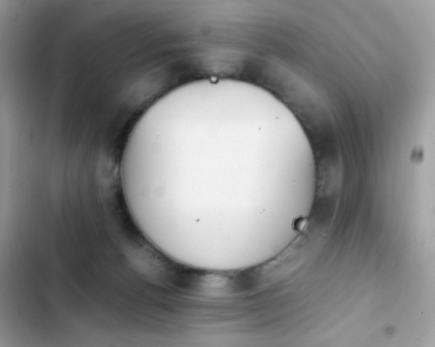 X0000103960176200809191519