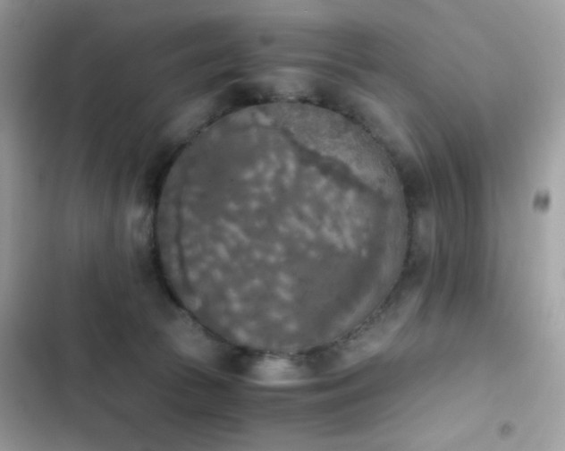 X0000103960177200809191519