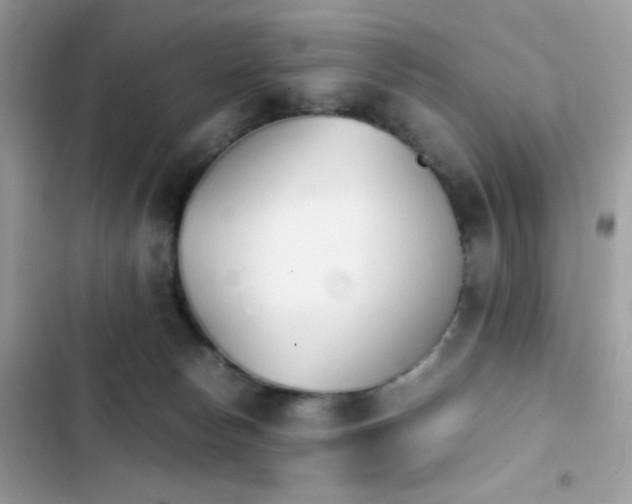 X0000103960178200809191519