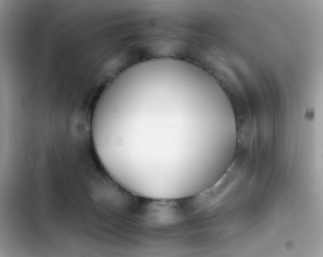 X0000103960179200809191519
