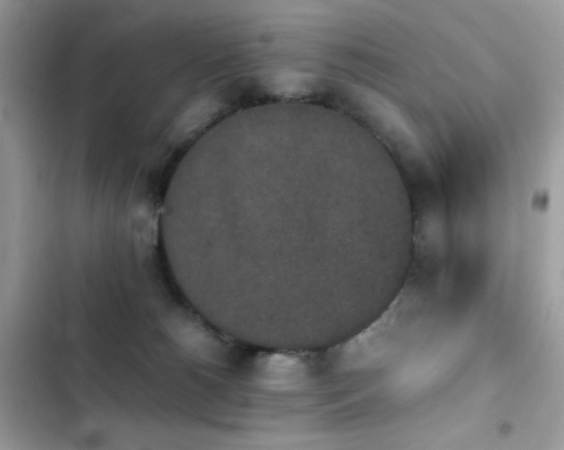 X0000103960180200809191519