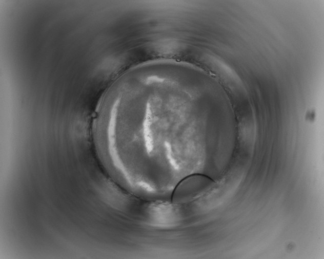 X0000103960181200809191519