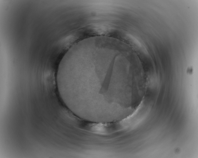 X0000103960182200809191519