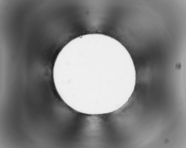 X0000103960183200809191519