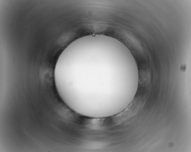 X0000103960184200809191519