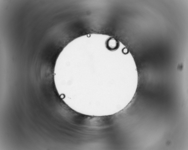 X0000103960186200809191519