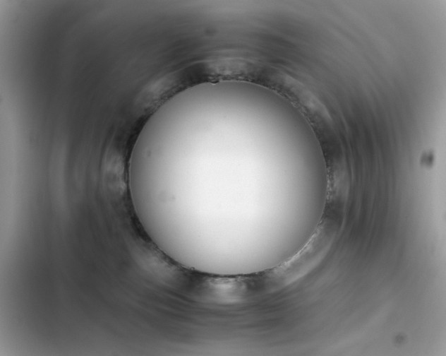 X0000103960187200809191520
