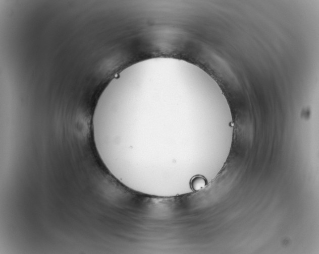 X0000103960188200809191520