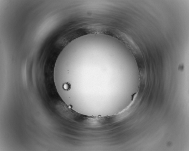 X0000103960190200809191520