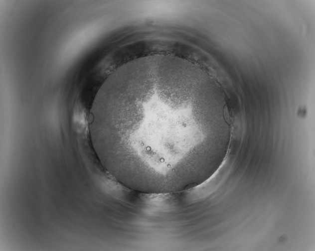 X0000103960191200809191520