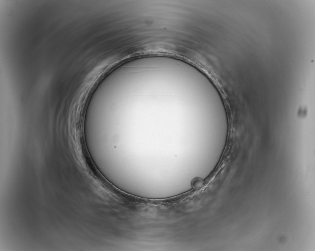 X0000103960193200809191519