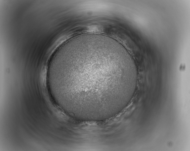X0000103960194200809191519