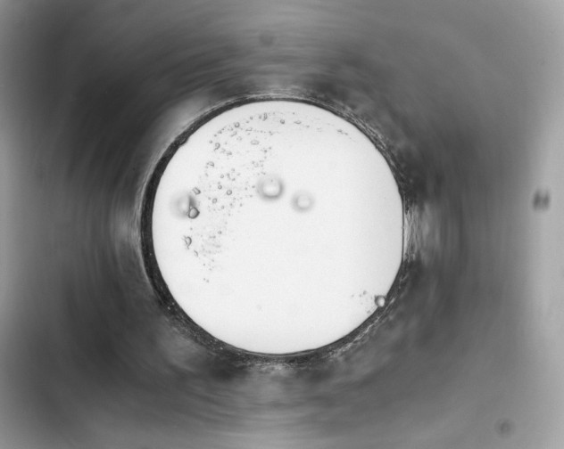 X0000103960195200809191519