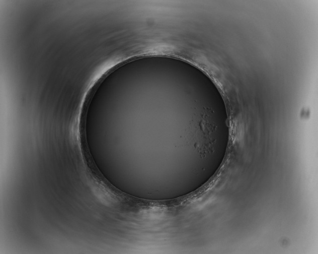 X0000103960196200809191519