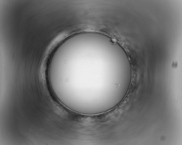 X0000103960197200809191519