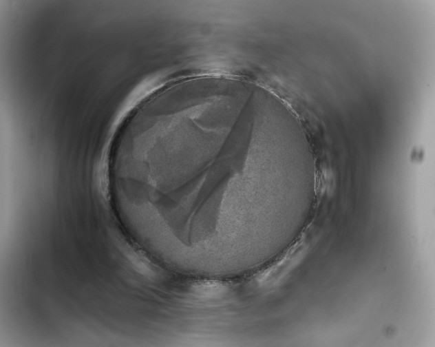 X0000103960198200809191519