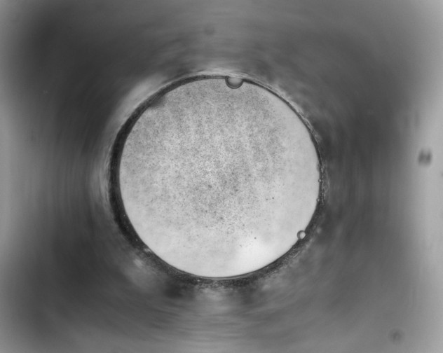 X0000103960199200809191519
