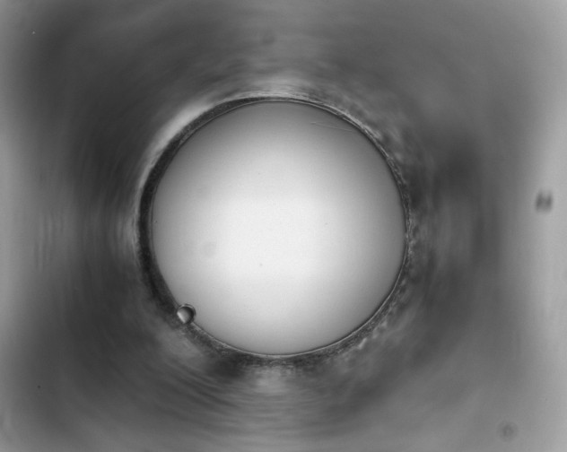 X0000103960200200809191519
