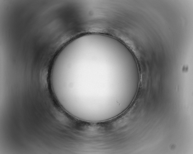 X0000103960201200809191519