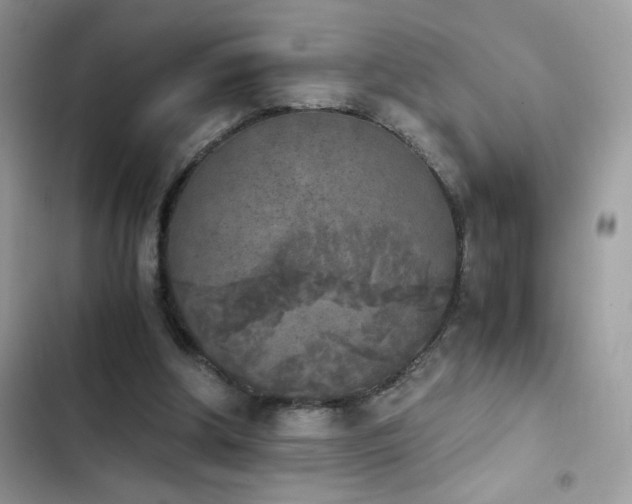 X0000103960202200809191519