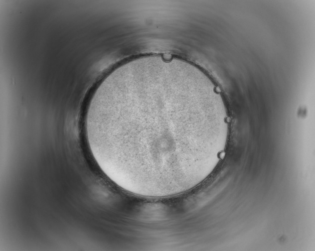 X0000103960203200809191519