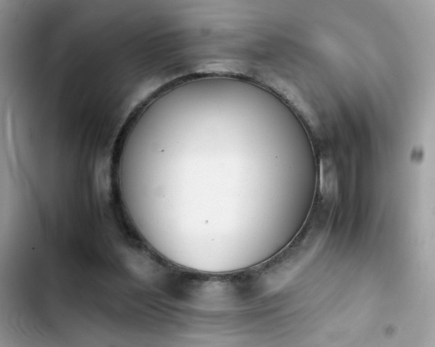 X0000103960204200809191519