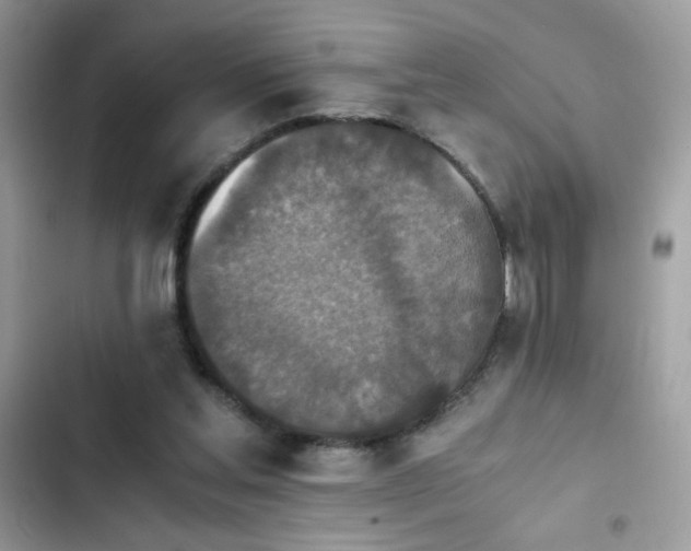 X0000103960205200809191519