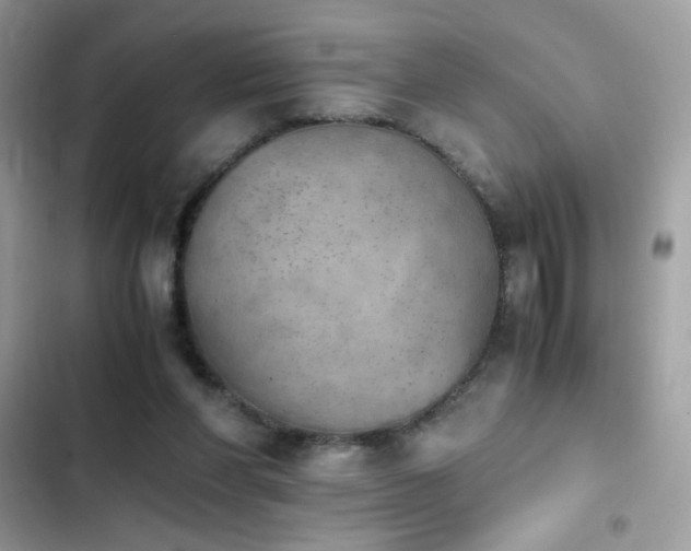 X0000103960206200809191519
