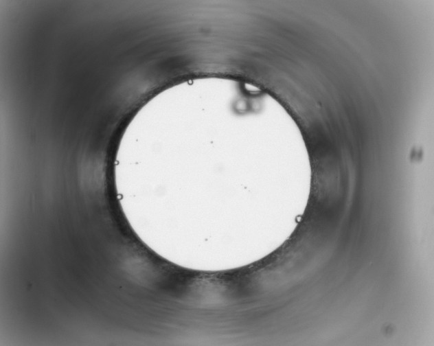 X0000103960207200809191519