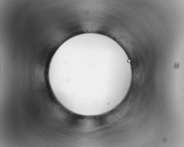 X0000103960209200809191519