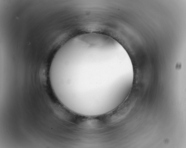 X0000103960210200809191519