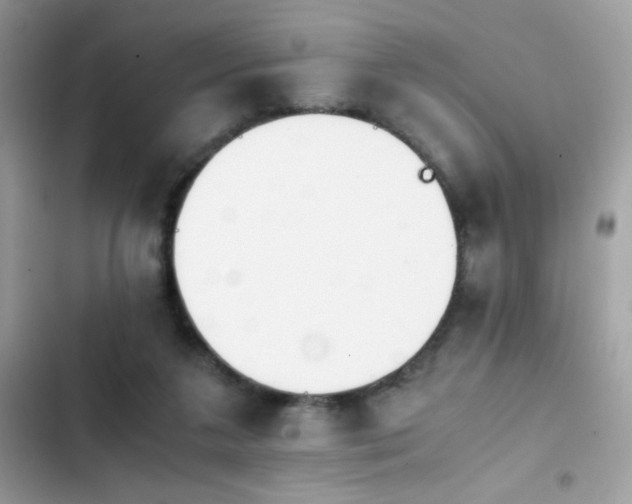 X0000103960211200809191519