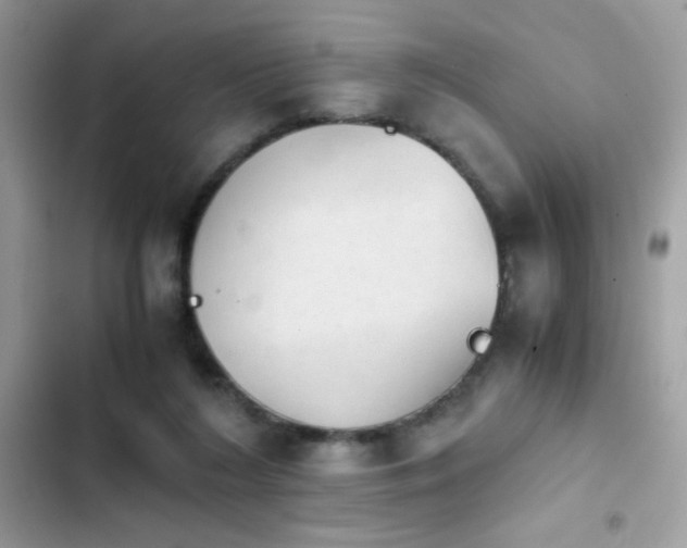 X0000103960212200809191519