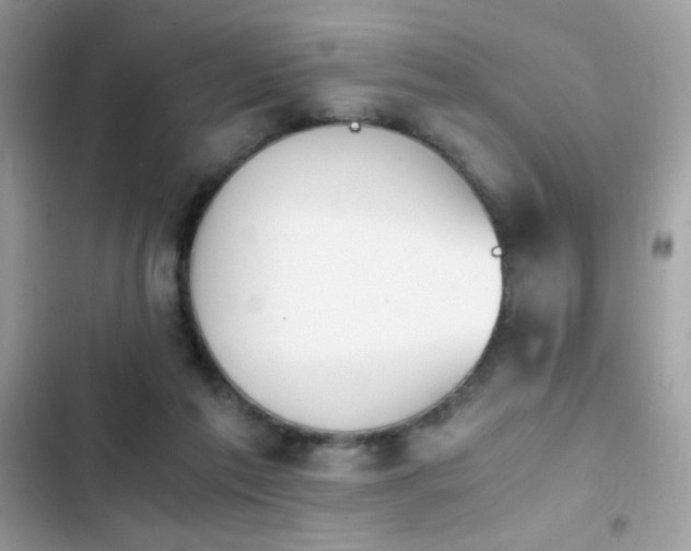X0000103960213200809191519