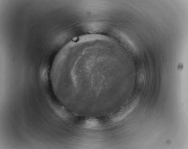 X0000103960214200809191519