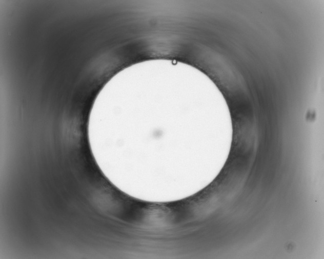 X0000103960215200809191519