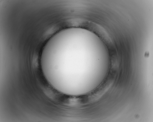 X0000103960216200809191519