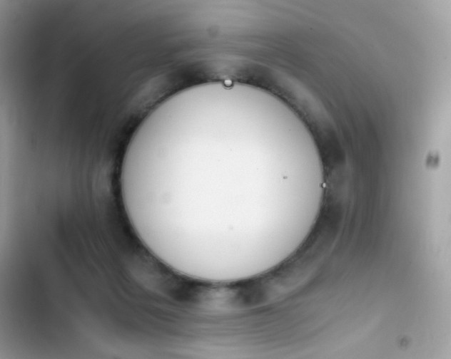 X0000103960217200809191519