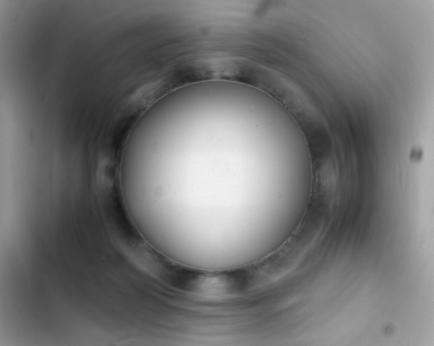 X0000103960218200809191519