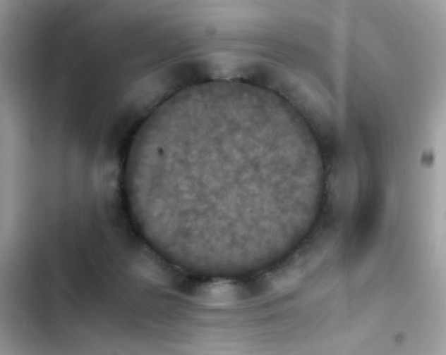 X0000103960219200809191519